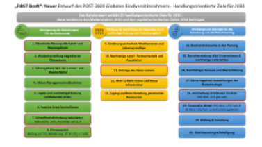 Prozess-Graphik: Weg zum post-2020 GBF